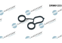 Gasket, oil filter housing