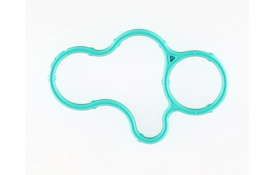 Gasket, oil filter housing