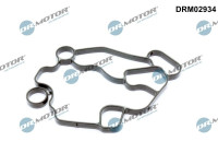 Gasket, oil filter housing