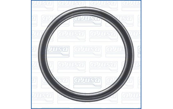 Gasket, oil filter housing