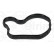 Gasket, oil filter housing