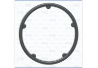 Gasket, oil filter housing