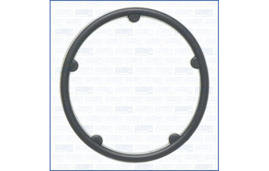 Gasket, oil filter housing
