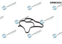 Gasket, oil filter housing