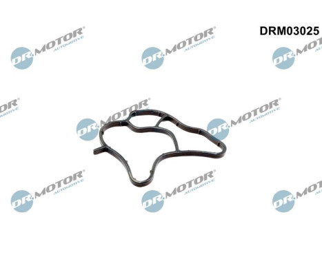Gasket, oil filter housing