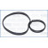Gasket/ Seal, Thumbnail 2