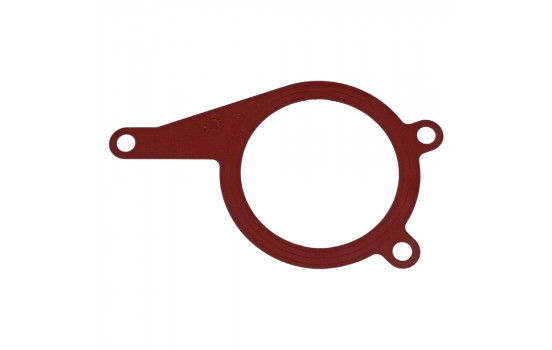 Gasket, vacuum pump