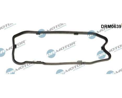 Gasket, Carter