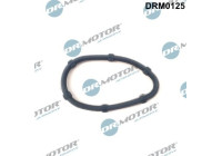 Gasket, engine crankcase ventilation