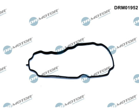 Gasket, engine crankcase ventilation
