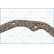 Gasket, oil sump, Thumbnail 3