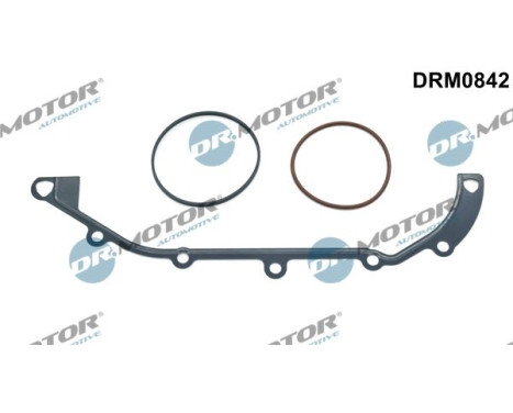 Gasket set, timing case