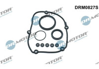 Gasket set, timing case