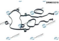 Gasket set, timing case