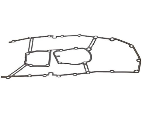 Gasket, timing case 919.899 Elring