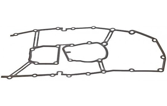 Gasket, timing case 919.899 Elring