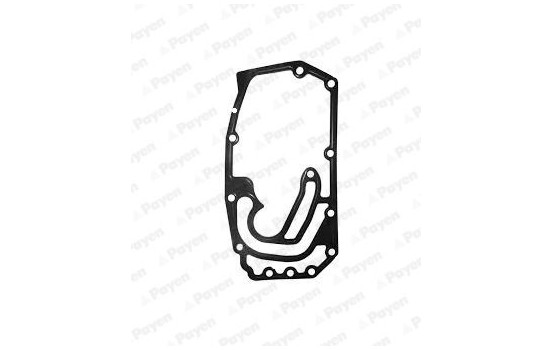 Gasket, timing case cover KK5599 Payen