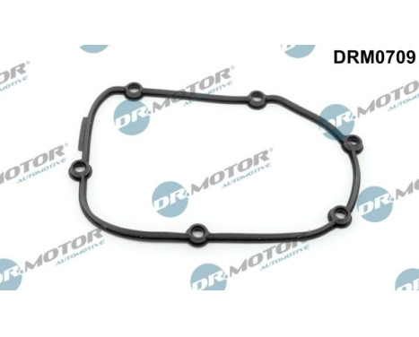 Gasket, timing case cover