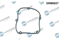 Gasket, timing case cover