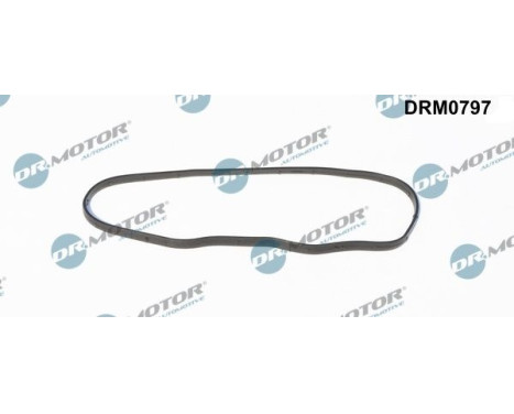 Gasket, timing case cover