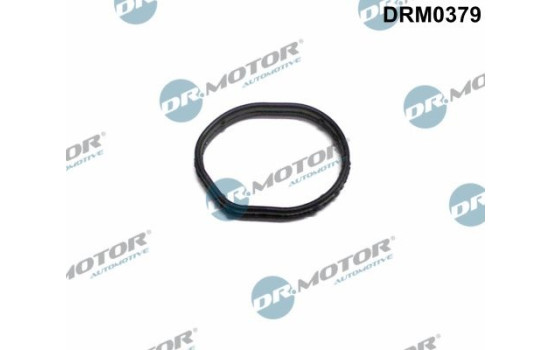 Gasket, timing case cover