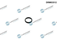 Gasket, timing case cover