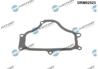 Gasket, timing case cover