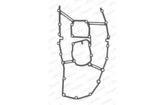 Gasket, timing case JR5046 Payen