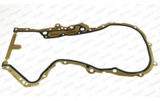 Gasket, timing case JR5048 Payen