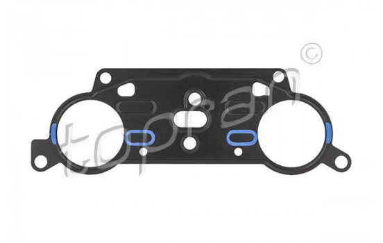 Gasket, timing case