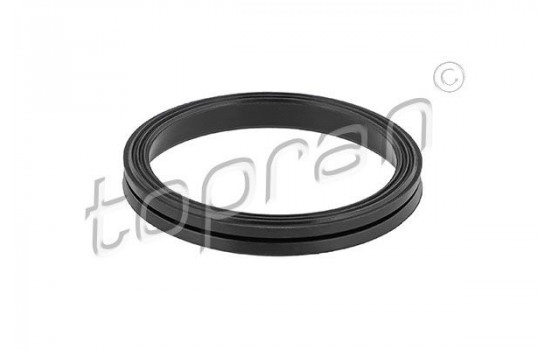 Gasket, timing case