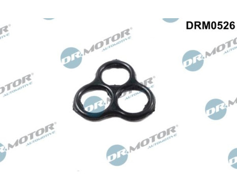 Gasket, timing case