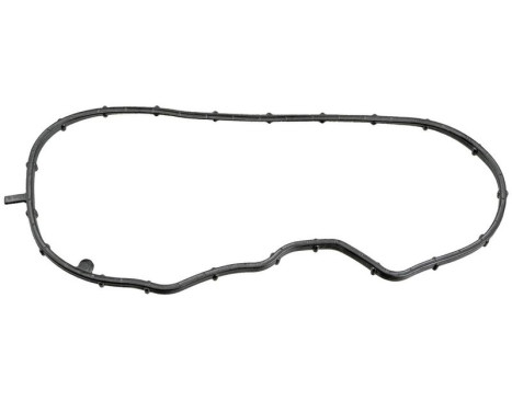 Gasket, timing case