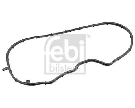 Gasket, timing case