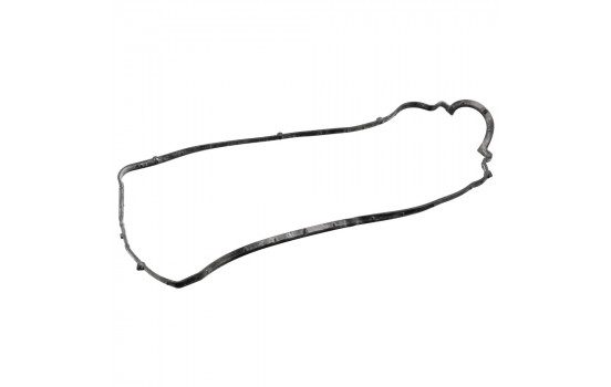 Gasket, cylinder head cover 105929 FEBI