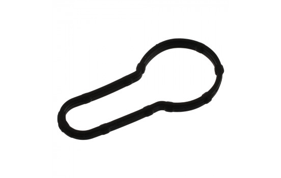 Gasket, cylinder head cover 43690 FEBI