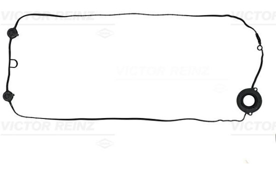 Gasket, cylinder head cover 71-10938-00 Viktor Reinz