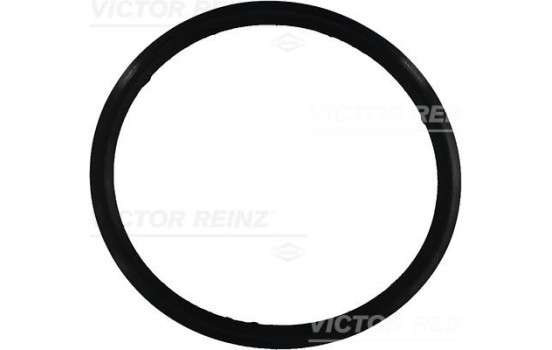 Gasket, cylinder head cover 71-31649-00 Viktor Reinz