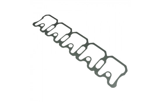 Gasket, cylinder head cover ADA106713 Blue Print