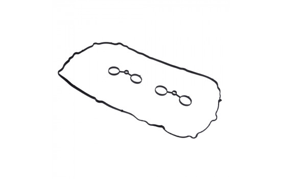 Gasket, cylinder head cover ADB116702 Blue Print