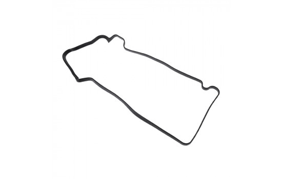 Gasket, cylinder head cover ADD66716 Blue Print