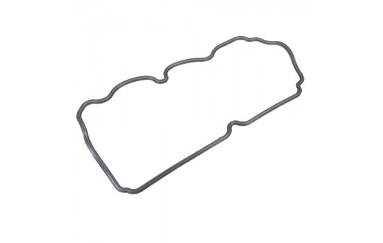 Gasket, cylinder head cover ADG06716 Blue Print