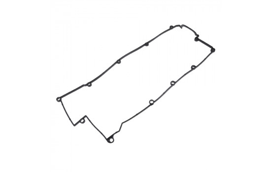 Gasket, cylinder head cover ADG06720 Blue Print