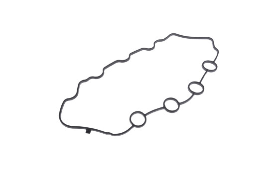 Gasket, cylinder head cover ADH26732 Blue Print