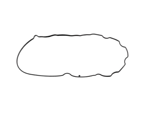 Gasket, cylinder head cover ADT36791 Blue Print