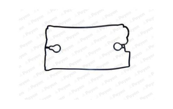 Gasket, cylinder head cover JN768 Payen