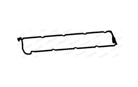 Gasket, cylinder head cover JN955 Payen