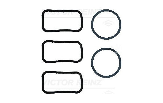 Gasket Set, cylinder head cover 15-10051-01 Viktor Reinz