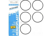 Gasket Set, cylinder head cover 15-76741-02 Viktor Reinz
