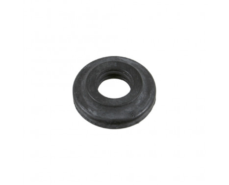 Seal Ring, cylinder head cover bolt 24321 FEBI